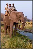 Balade Ã  dos d'Ã©lÃ©phant